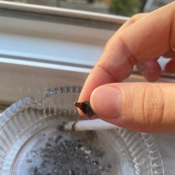 Sigara Paketlerinde Sürekli Odun Parçası Çıkıyor!