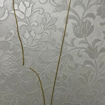 Garanti Kapsamında Kolyemdeki Sorunlar 2 Aydır Çözülmüyor, Müşteri Hizmeti Yetersiz