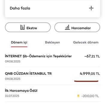 Sahte A-101 Reklamı Üzerinden Yapılan Alışverişte 25.000 TL Kartımdan Çekildi, Sipariş Bilgisi Ve Destek Alamadım