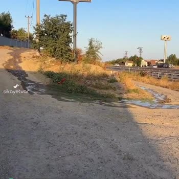 Marmaraereğlisi Belediyesi Çevre Kirliliği!
