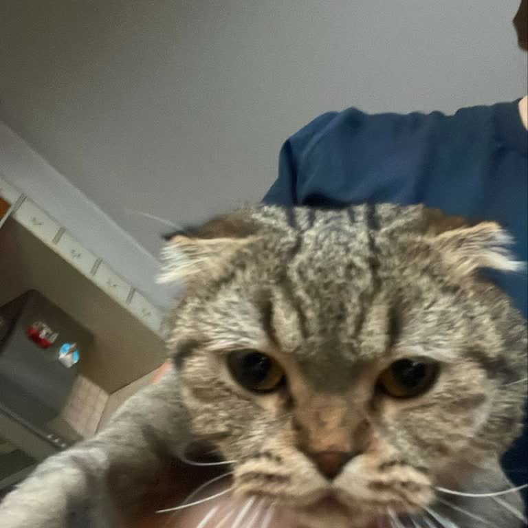 Veteriner Kliniğinde Kötü Hizmet Ve İlgisiz Davranış