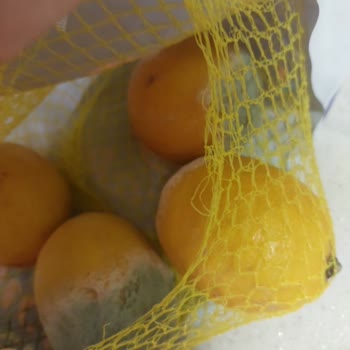 Küflü Limon Teslimatı Ve Yetersiz Müşteri Hizmeti