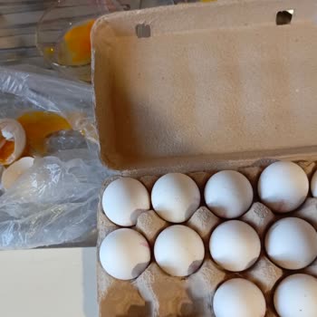 Aldığım Yumurtanın İçinden Siyah Çıktı, Mağduriyetimin Giderilmesini İstiyorum