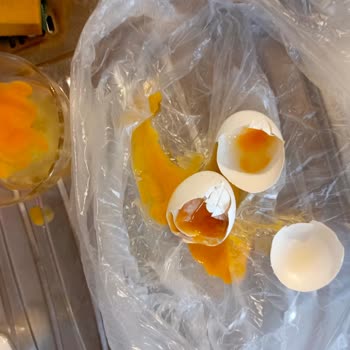 Aldığım Yumurtanın İçinden Siyah Çıktı, Mağduriyetimin Giderilmesini İstiyorum