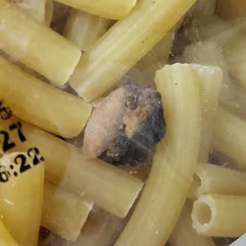 Makarnanın İçinden Çıkan Yabancı Maddeler Güvenimi Sarsdı