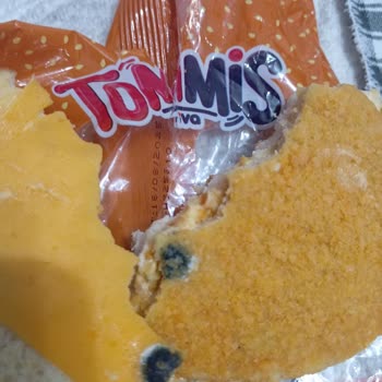 Aldığım Hamburgerde Küf Çıktı, Sağlığım Tehlikeye Girdi