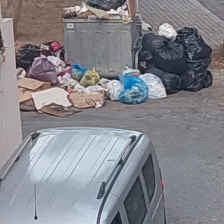 Çöpler Toplanmıyor, Kötü Koku Yayılıyor