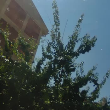 Kasko Poliçesi Kapsamında Cam Değişimi Talebimin Gerekçesiz Reddedilmesi Ve Mağduriyetim