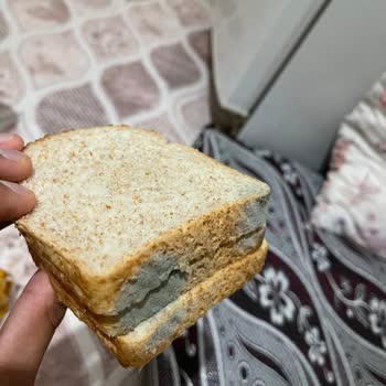 Kepekli Ekmek Küflü Çıktı, Hayal Kırıklığı Yaşadım