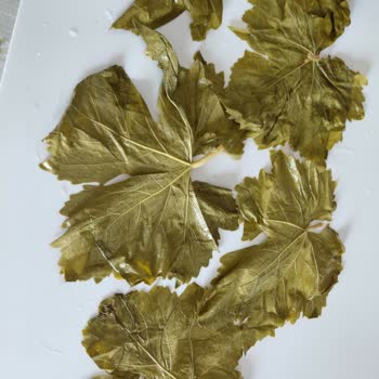 Satın Aldığım Asma Yaprağı Sert Ve Kalın Çıktı, İletişim Engellendi Mağdur Oldum