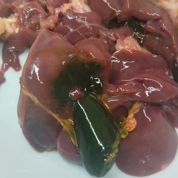 Aldığım Tavuk Ciğerinde Zehirli Olabilecek Yeşil Parçalar Çıktı, Açıklama Bekliyorum