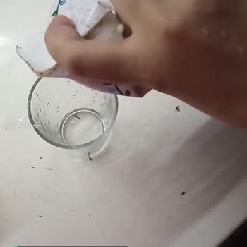 A101 4'lü Süt Kampanyası Hüsranı