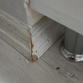 Satın Alınan Parkelerde Erken Çatlama Ve Garanti Kapsamında Onarım Talebi