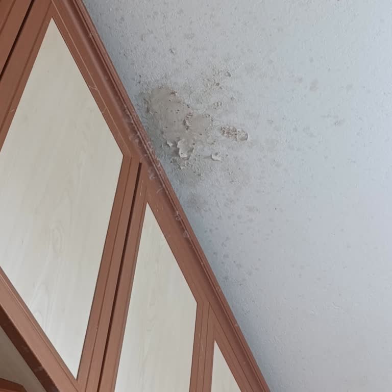 Tarihi Geçmemiş Kefir Mutfakta Patladı, Duvarım Zarar Gördü