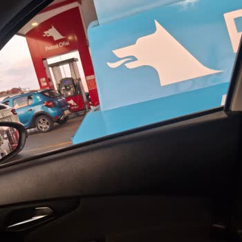 AdBlue Pompası Bir Aydır Arızalı, Hizmet Ve Ücret Mağduriyeti