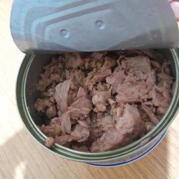 Ton Balığında Beklenmedik Koku Ve Tat Hayal Kırıklığı Yarattı