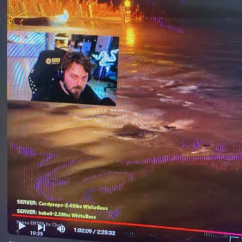 Monitörümde DP Soket Arızası: Değişim Talebim Cevapsız Kaldı