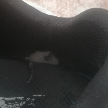 Skechers Ayakkabıda 3 Haftada Deformasyon, Değişim Talebim Reddedildi