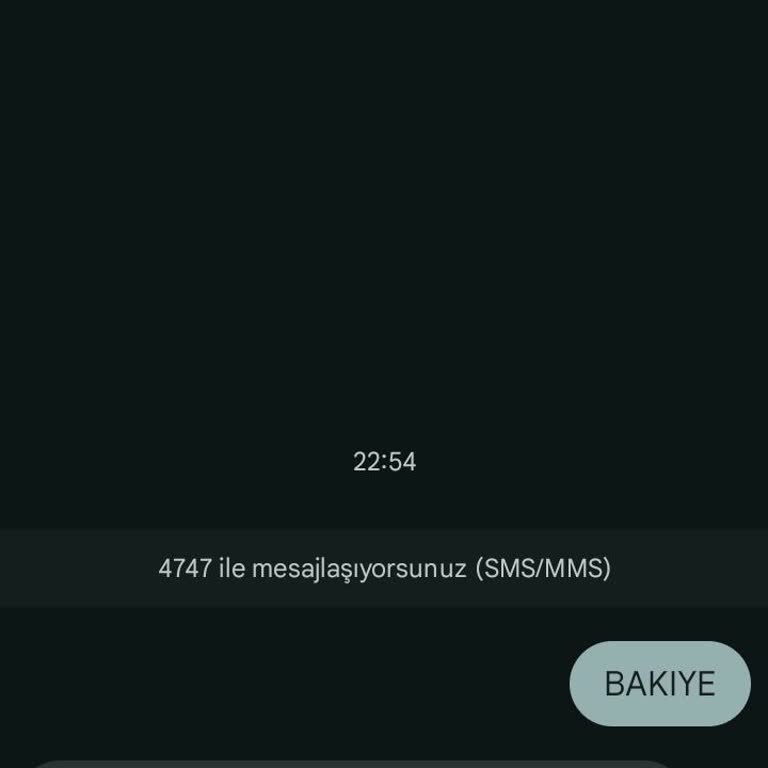 Askerdeyken Bakiye Sorgulama Limiti Ve Mobil Erişim Sorunu