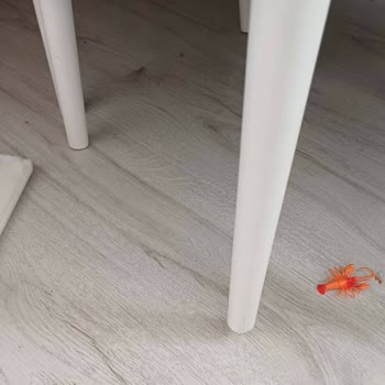 Hasarlı Ve Teşhir Ürünler, Faturasız Satış Ve Çözülmeyen Mağduriyet