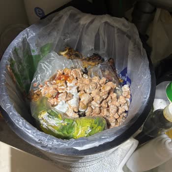 Yemeksepeti Siparişimden Kıl Çıktı, Yetersiz Çözüm Sunuldu!