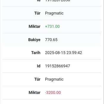 Hesabım Ele Geçirildi Ve 4.000 TL İzinsiz İşlem Yapıldı, Çözüm Sunulmadı