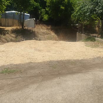 Mahallede Çöp Ve Kurumuş Otların Yol Kenarına Atılması Yangın Tehlikesi Yaratıyor