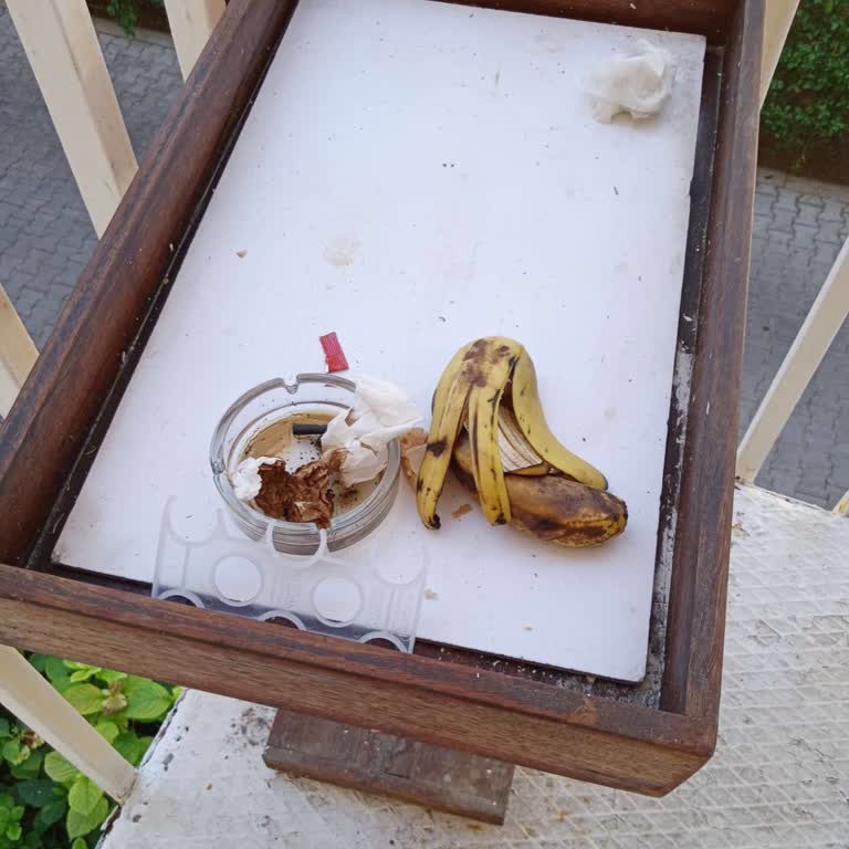 Atlantique Holiday Club Evcil Hayvan Krizi Ve Kötü Yönetimle Mağdur Edilen Müşteri Deneyimi