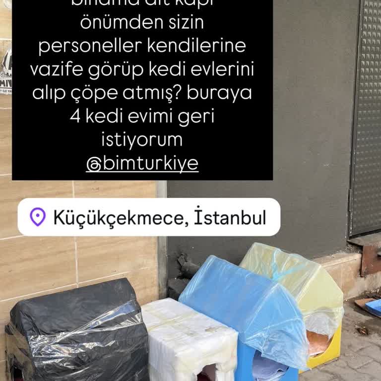 Kedi Evlerim İzinsiz Alınıp Atıldı Mağaza Çözüm Sunmadı