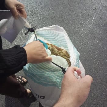 Efe Tur'da Emanet Ücretleri Ve Güven Sorunu