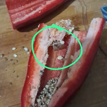 Migros Sanal Market’ten Aldığım Sebzelerde Böcek Ve Hijyen Sorunu