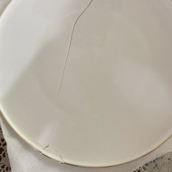 Eksik Ve Hasarlı Yemek Takımı Teslimatı, Yetersiz Müşteri Hizmeti