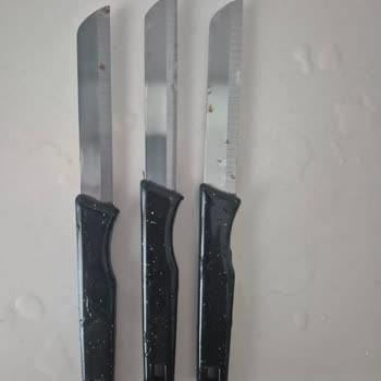 Solingen Meyve Bıçaklarında Kısa Sürede Paslanma Sorunu Ve Mağduriyet