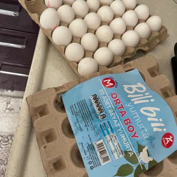 Yumurtada Hijyen Ve Güvenlik Skandalı: Açıklama Ve İade Talebim Var