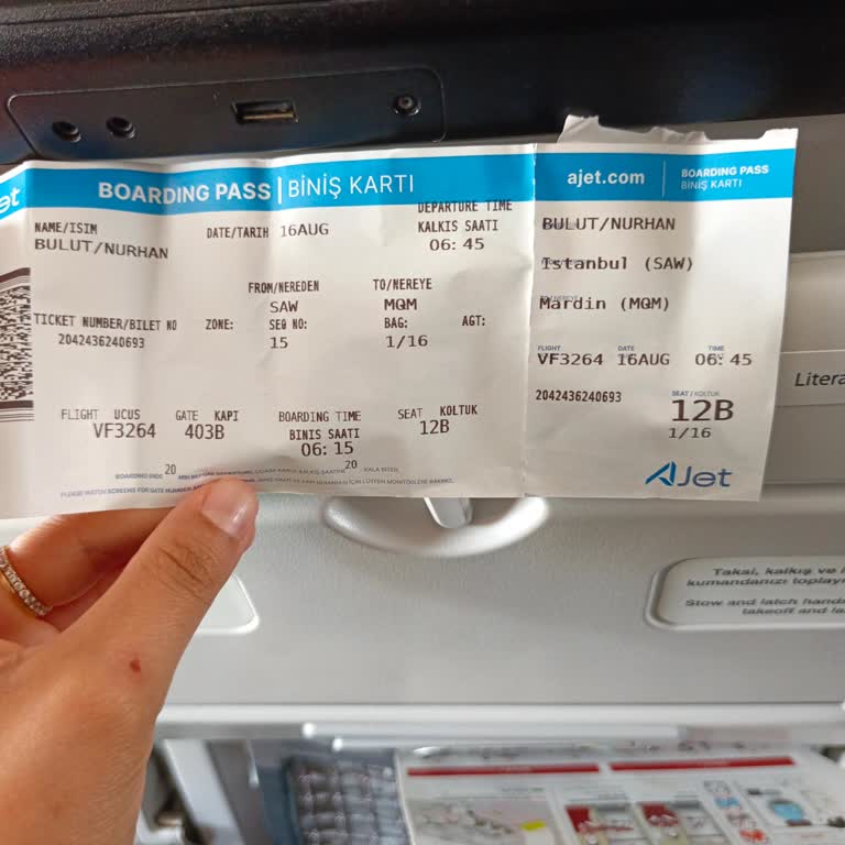 Uçağa Alınmama, Ekstra Masraflar Ve Kayıp Bagaj Nedeniyle Mağduriyet