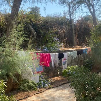 Alexander The Great Resort & SPA Otel Hizmetlerinde Tutarsızlık Ve Ciddi Mağduriyet