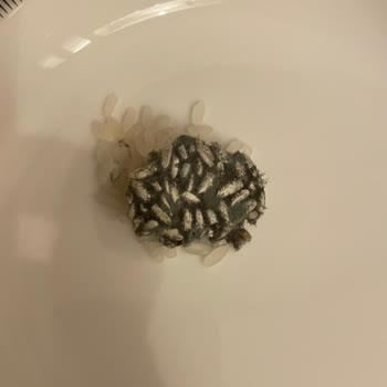 Açılmamış Pirinç Paketinde Küf Oluştu, Mağduriyetimin Giderilmesini İstiyorum