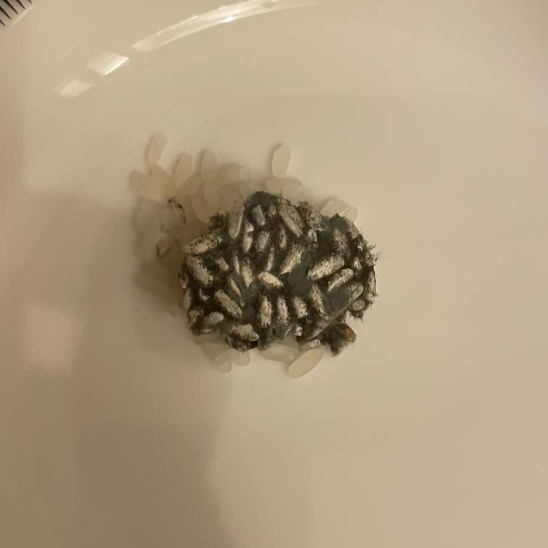 Açılmamış Pirinç Paketinde Küf Oluştu, Mağduriyetimin Giderilmesini İstiyorum