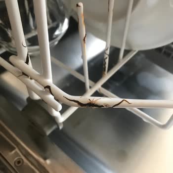 Aldığım Bulaşık Makinesi Sepeti Kısa Sürede Paslandı, Satıcıdan Destek Alamıyorum