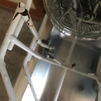 Aldığım Bulaşık Makinesi Sepeti Kısa Sürede Paslandı, Satıcıdan Destek Alamıyorum