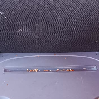 Otobüs Temizlik Ve Güvenlik Sorunları Tekrarlanıyor