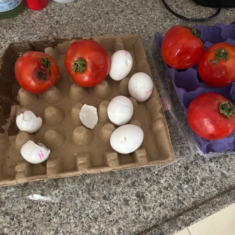 Şok Mağazasından Gelen Bozuk Domates Ve Kırık Yumurta Mağduriyeti