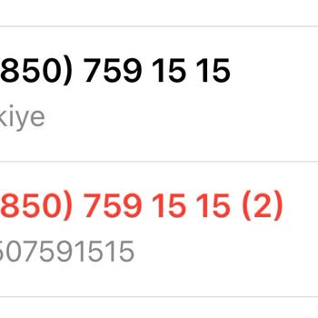 Kedi Kumu Siparişim Adrese Uğramadan İade Edildi Mağduriyetim Nasıl Giderilecek