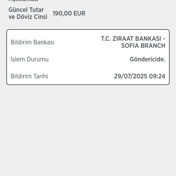 Uluslararası Para Transferinde Gecikme Ve Mağduriyet