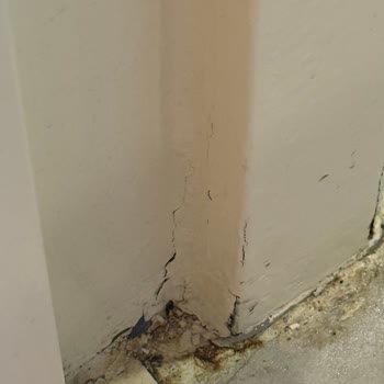 Hijyen Sorunları Ve İlgisiz Yönetim Nedeniyle Erken Otel Terk