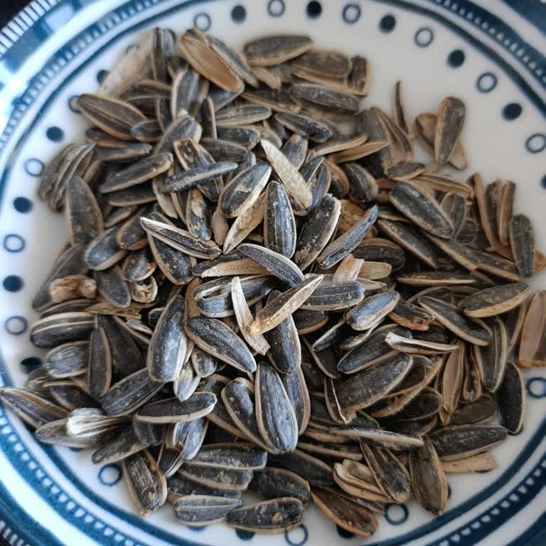 Aldığım Ayçekirdeği Paketinde Boş Kabuklarla Karşılaştım, Misafirlerim Önünde Mağdur Oldum