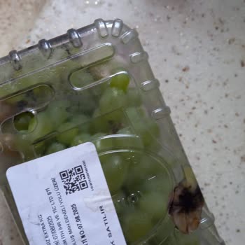 Defalarca Uyarıya Rağmen Çürük Meyve Gönderilmesi Ve Sorunun Çözülmemesi