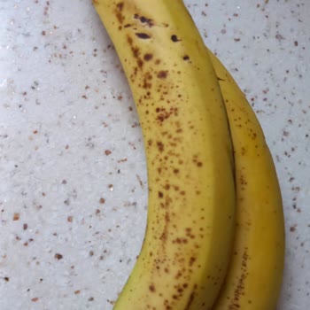 Defalarca Uyarıya Rağmen Çürük Meyve Gönderilmesi Ve Sorunun Çözülmemesi