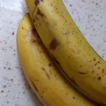 Defalarca Uyarıya Rağmen Çürük Meyve Gönderilmesi Ve Sorunun Çözülmemesi