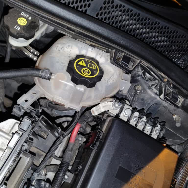 Yetkili Servis Bakımı Sonrası Aracımda Devam Eden Sorunlar Ve Maddi Kayıplar